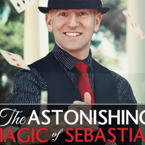 Magic of Sebastian - Wheelchair Seating