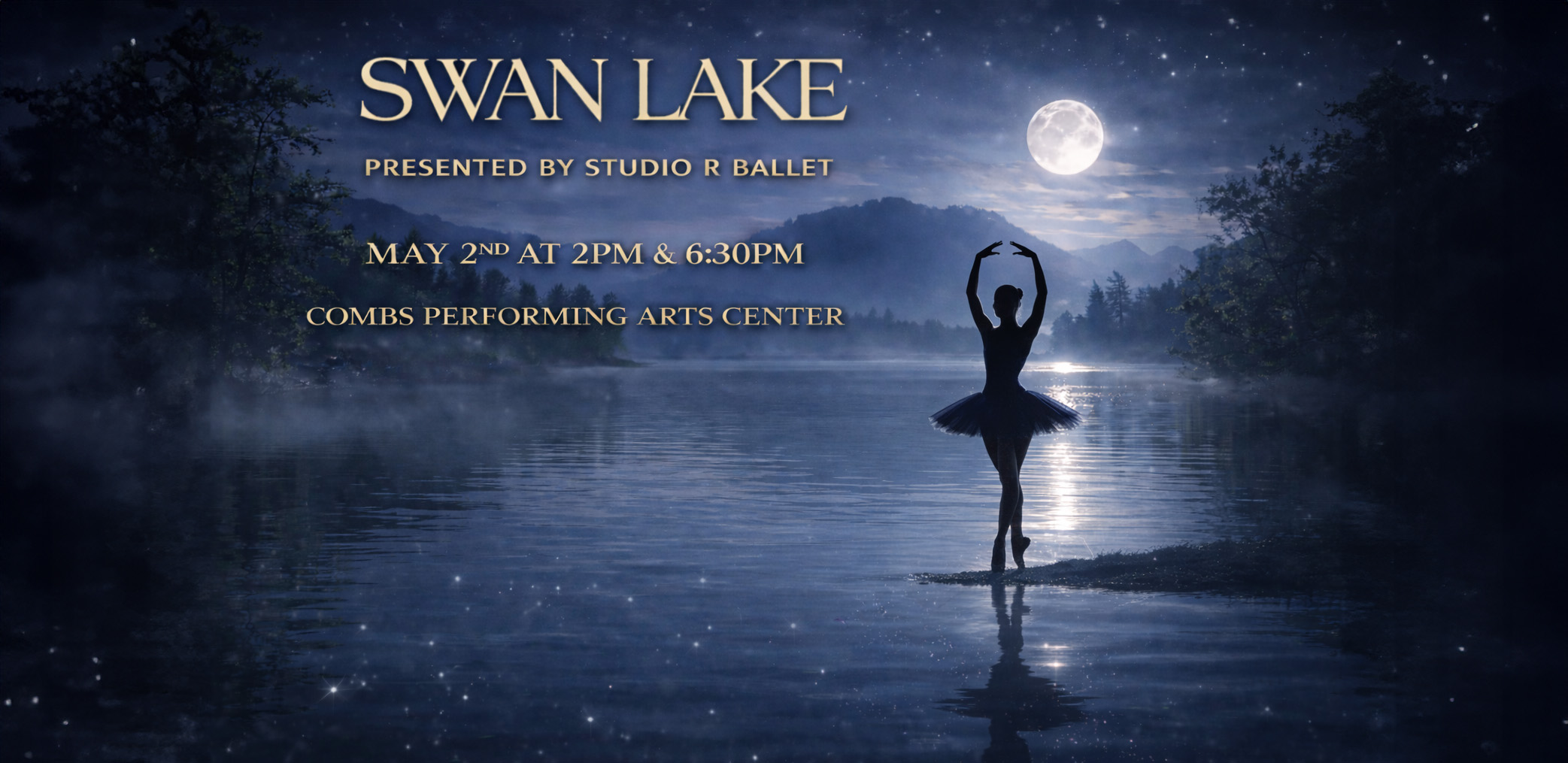 Swan Lake Banner 2
